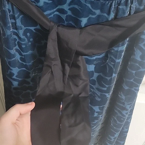 Anthropologie Moulinette Soeurs Lacy Velvet Silk Dress - Picture 4 of 7